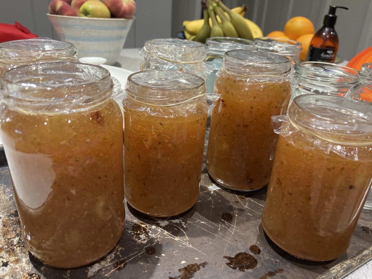 AliceFwrites's tweet photo. Five and a half jars made! Hope that was worth the effort, #gooseberryjam! 🤔 https://t.co/XZlBAdCYCX