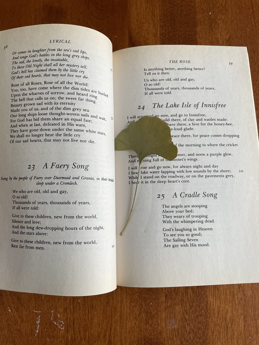 ivysiebert26's tweet photo. I bought a copy of collected poems by W.B. Yates from a used book store and when I got home I realized its last owner left some pressed plants in it and it made me so happy https://t.co/BH7tTw0QGi