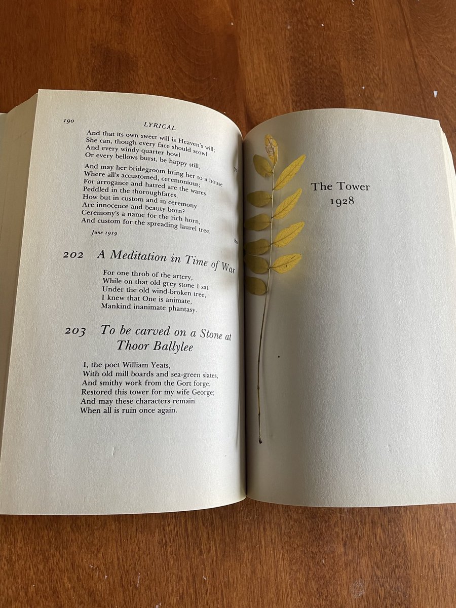 ivysiebert26's tweet photo. I bought a copy of collected poems by W.B. Yates from a used book store and when I got home I realized its last owner left some pressed plants in it and it made me so happy https://t.co/BH7tTw0QGi