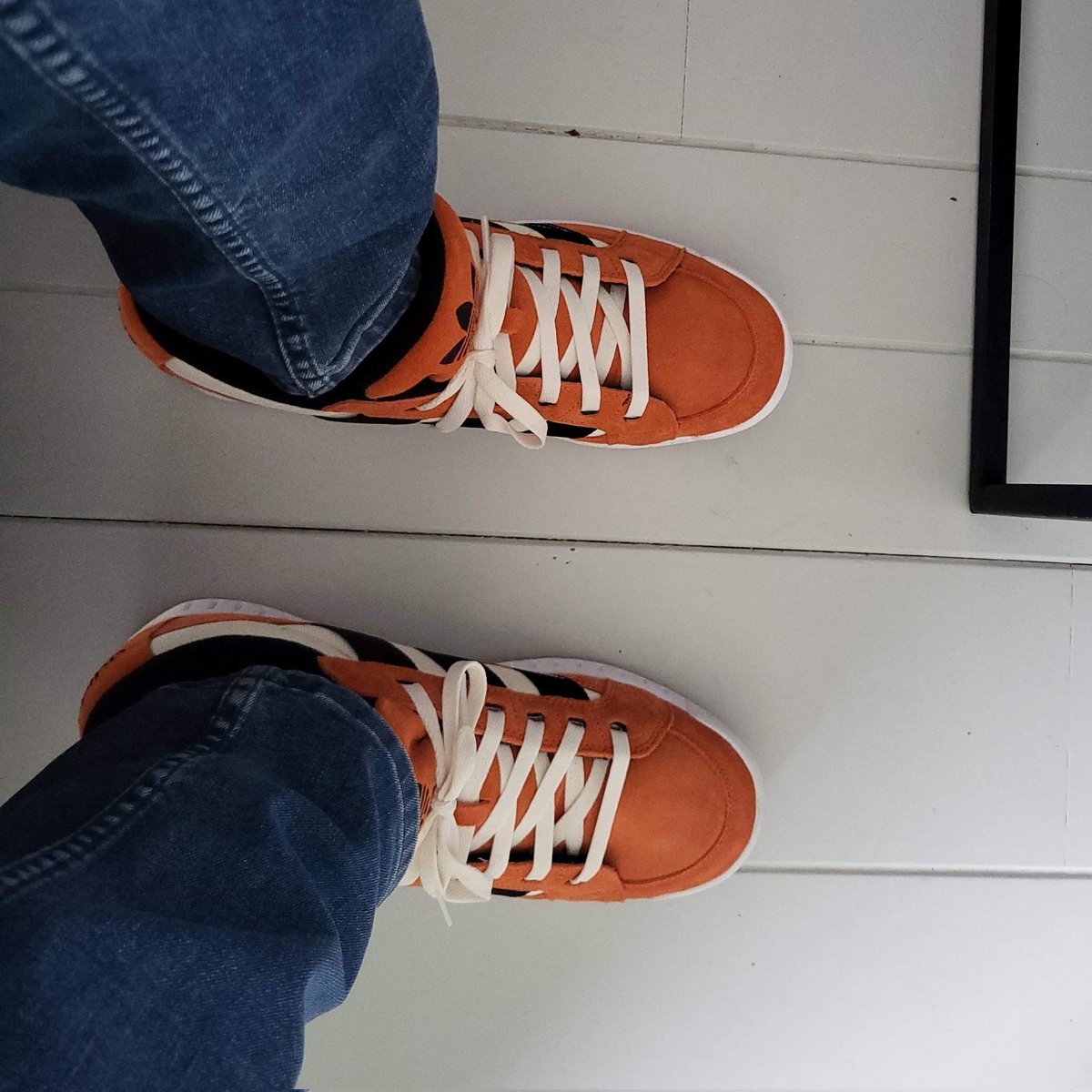 erwinterhaar's tweet photo. #NieuweProfielfoto https://t.co/q5UXJeWMjn