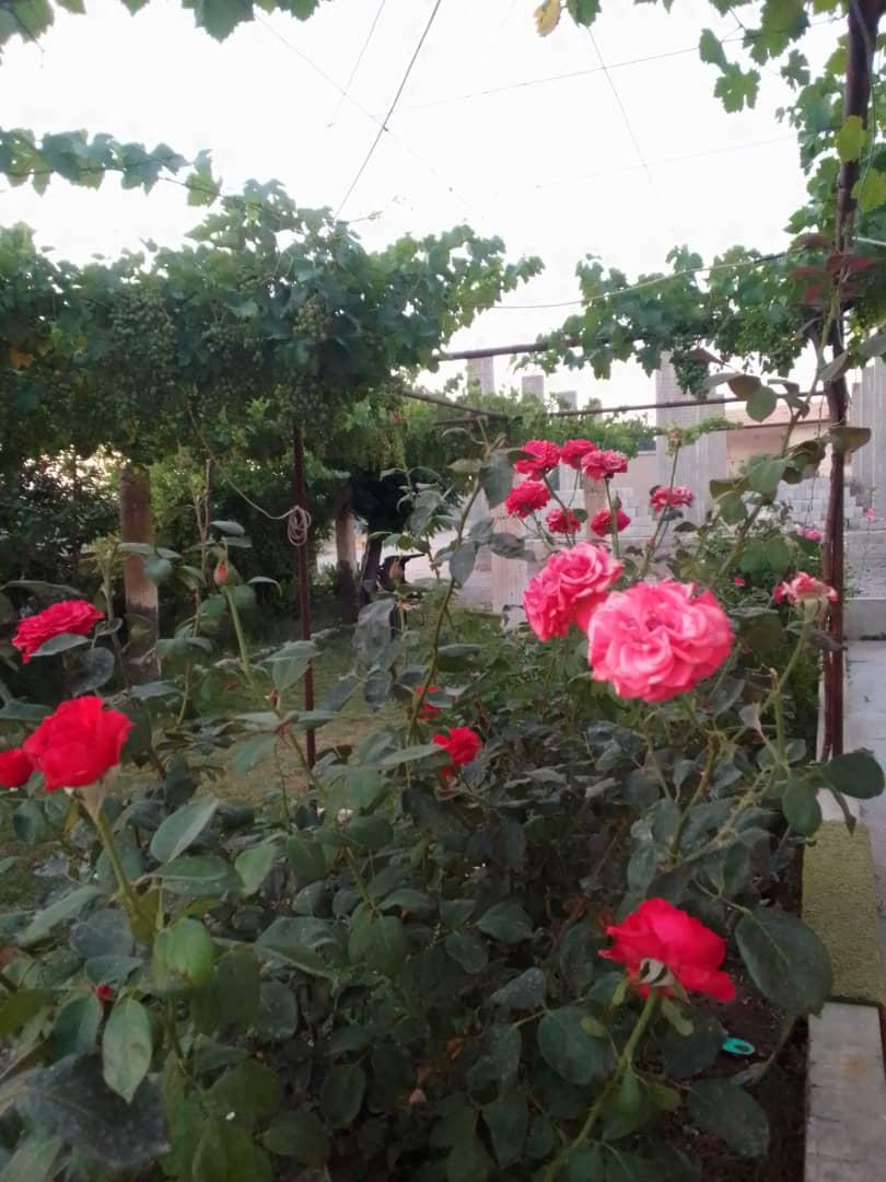 لقد تم إختيارك للمره الثانية 
ألف مبروك للفائز معنا
 بمبلغ وقدرة 50.000 الف ريال سعودي
 وعقبال المشاركين الليلة راح يكون في مسابقة سحب على ” سيارة لكزس 
١-رتويت
٢- تابع
٣-تغريد ب (تم)
٤-أرسال إسمك ورقم جوالك خاص.