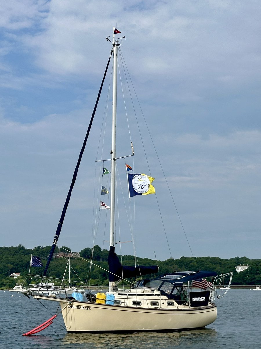 Bruce Bachenheimer tweet media