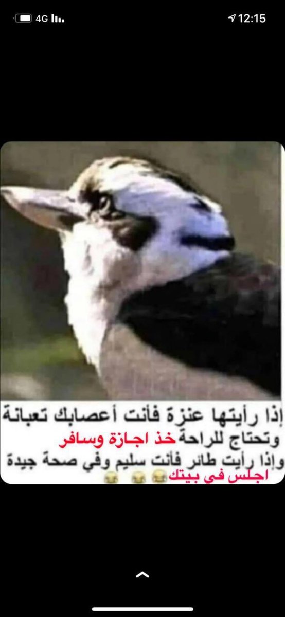 فهد شارع (@39fahd) on Twitter photo 