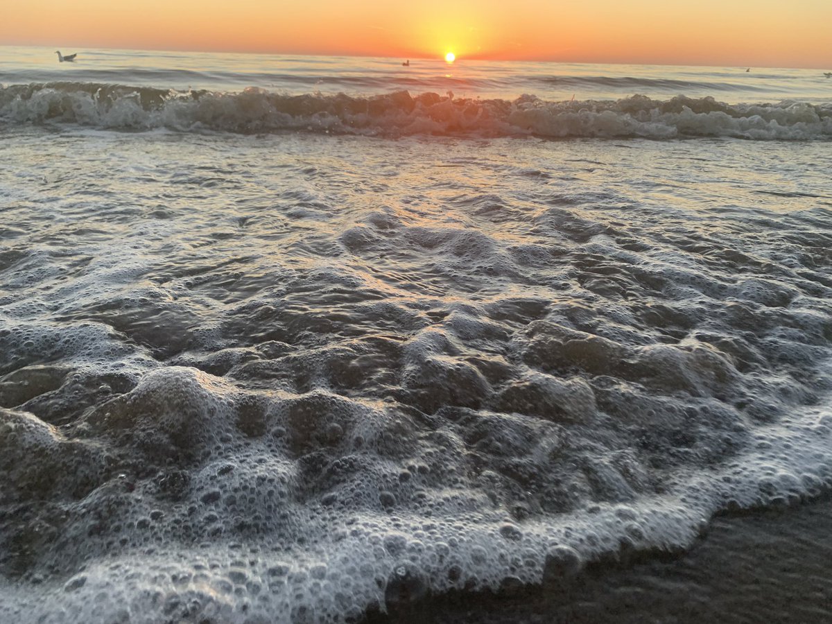 sigridbekkema's tweet image. Ik heb de zon zien zakken in de zee ✅