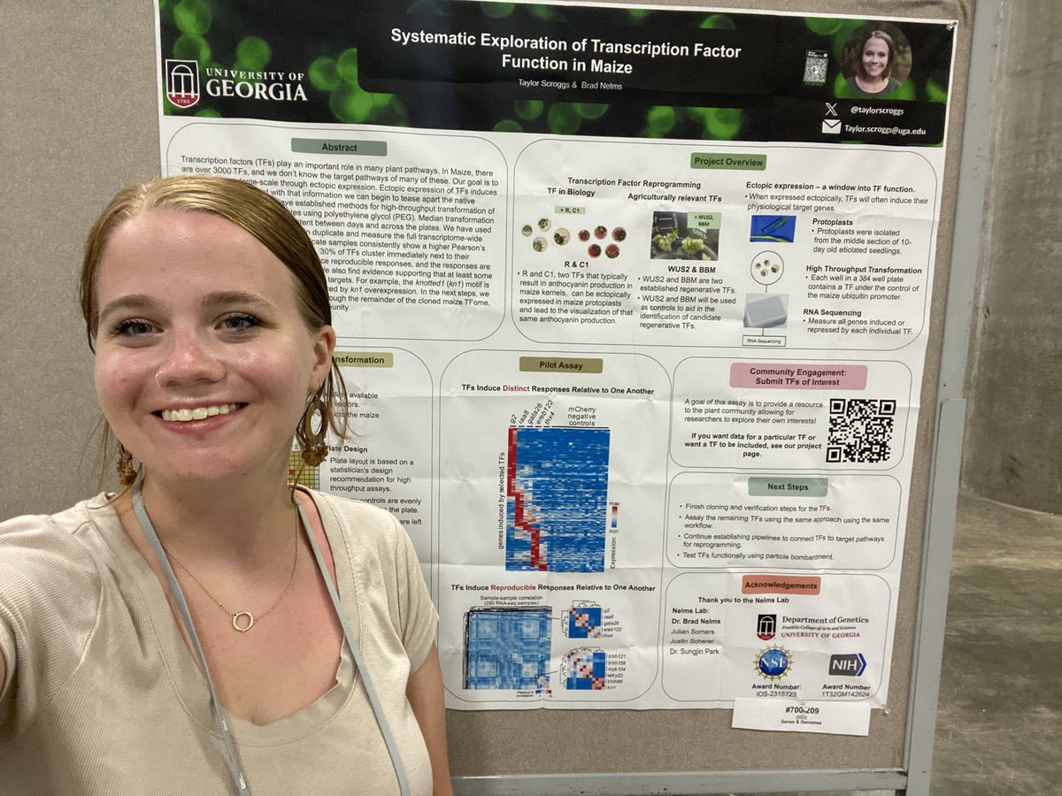 taylor (@taylorscroggs) on Twitter photo Hey! If you wanna hear how we have developed an assay to systematically explore the function of over 2000 TFs in Maize come join me at poster 700 - 209 in the genes and genomes section! <a href="/ASPB_ECPS/">ASPB Early Career Plant Scientists Section</a> #ECPSinHI Hey! If you wanna hear how we have developed an assay to systematically explore the function of over 2000 TFs in Maize come join me at poster 700 - 209 in the genes and genomes section! <a href="/ASPB_ECPS/">ASPB Early Career Plant Scientists Section</a> #ECPSinHI