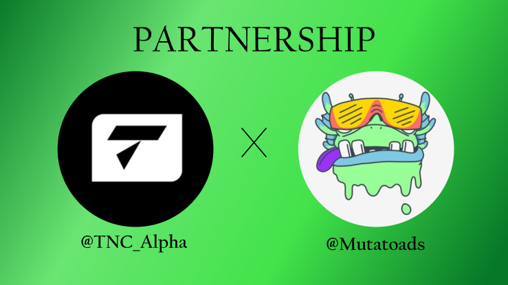 TNC_Alpha's tweet photo. We are thrilled to announce that we will be collaborating with @Mutatoads 

5555 Mutatoads hitting Solana soon!

We will provide whitelist spots for our members from Mutatoads upcoming Free mint

TNC4Life!