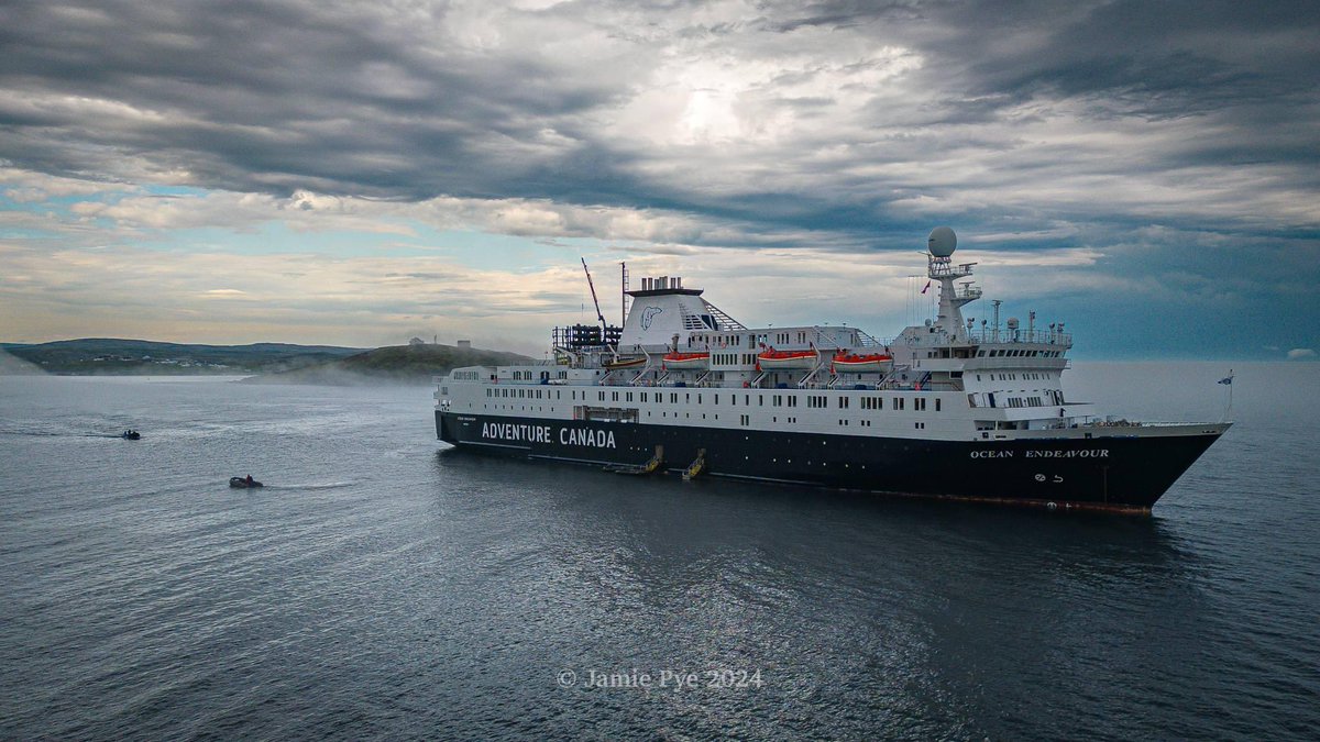 Labrador Straits 🇺🇦 tweet media