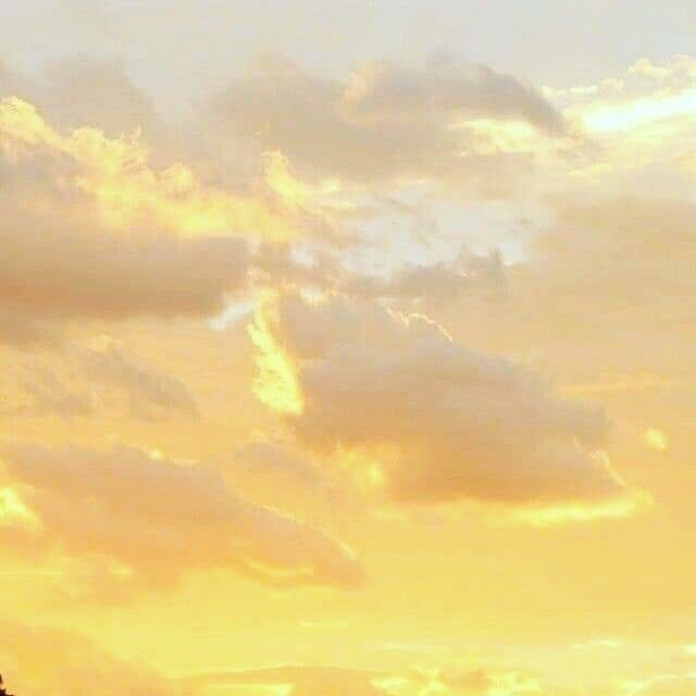 ꪖꪶꫀ᥊ ੈ✩‧₊˚ ꫝꫀ/ꫝ꠸ꪑ tweet media