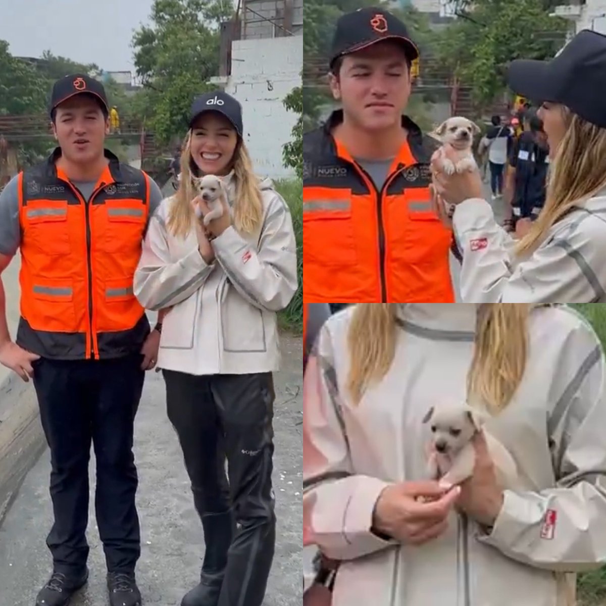 CerebrosG's tweet photo. Samuel García y Mariana Rodríguez fueron a ayudar en las zonas que fueron afectadas por las lluvias y encontraron un perrito y decidieron adoptarlo, mencionaron que se llamará Alberto. https://t.co/t0kc0M3wvm