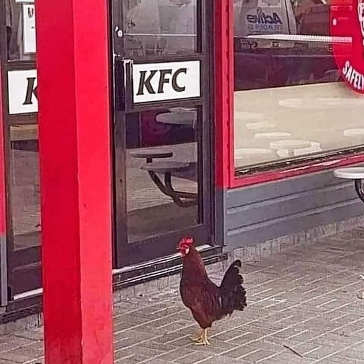 El obrero que vota a la derecha.