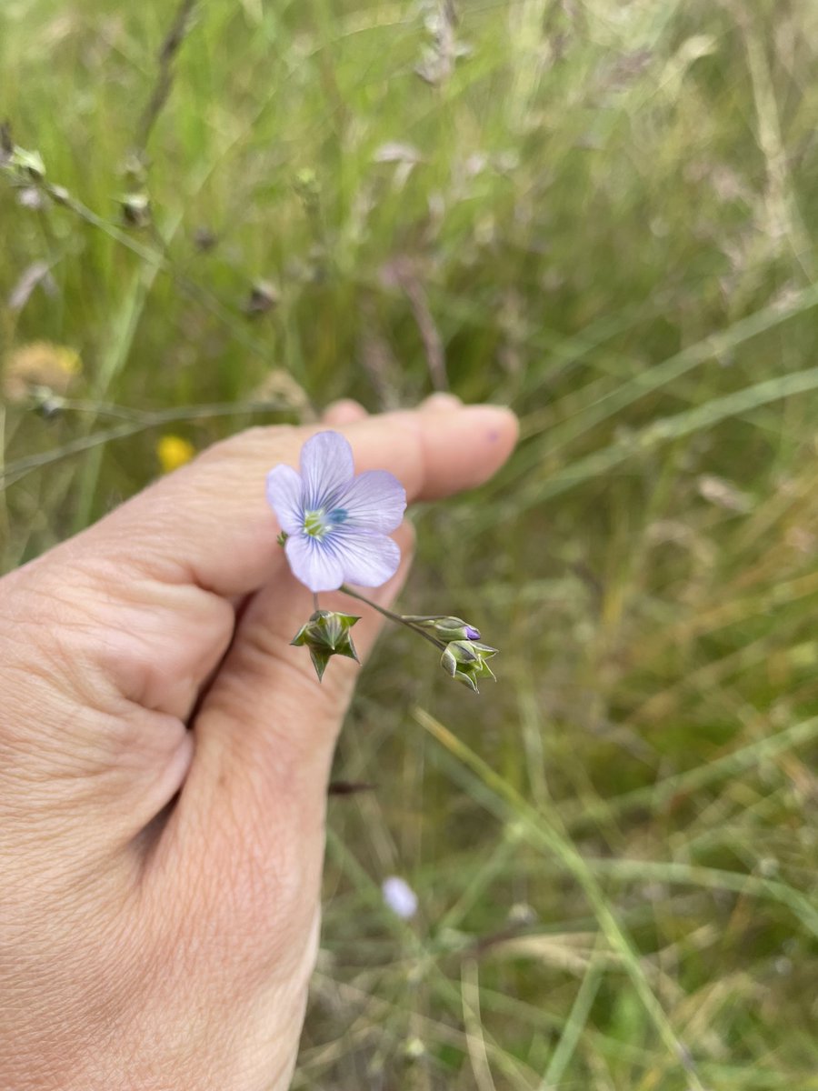Marion Jammet tweet media