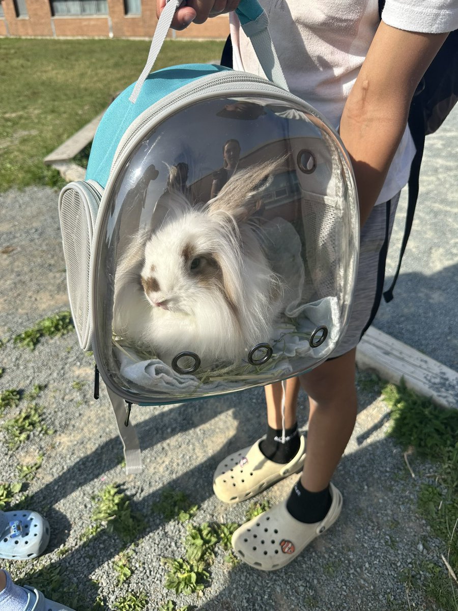 Taylor Walker tweet media