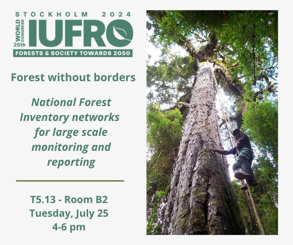 Iciar Alberdi (@iciaralberdi) on Twitter photo Interested in forest large-scale forest monitoring? 🌲🌳If you are going to #IUFRO2024 don´t miss T5.13! With @anssipek, <a href="/rocio_condor/">Rocío Cóndor</a>, Jenny Wong, and representants of the NFI networks worldwide #NFI, #ENFIN, #IFNLAC,#dataharmonizationNeed Interested in forest large-scale forest monitoring? 🌲🌳If you are going to #IUFRO2024 don´t miss T5.13! With @anssipek, <a href="/rocio_condor/">Rocío Cóndor</a>, Jenny Wong, and representants of the NFI networks worldwide #NFI, #ENFIN, #IFNLAC,#dataharmonizationNeed