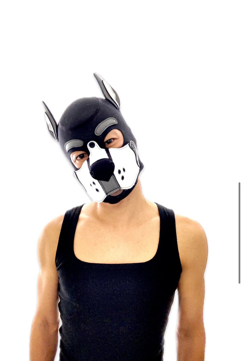 Pupper Ash tweet media