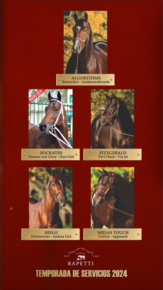 Imperdible (@imperdible18) on Twitter photo 