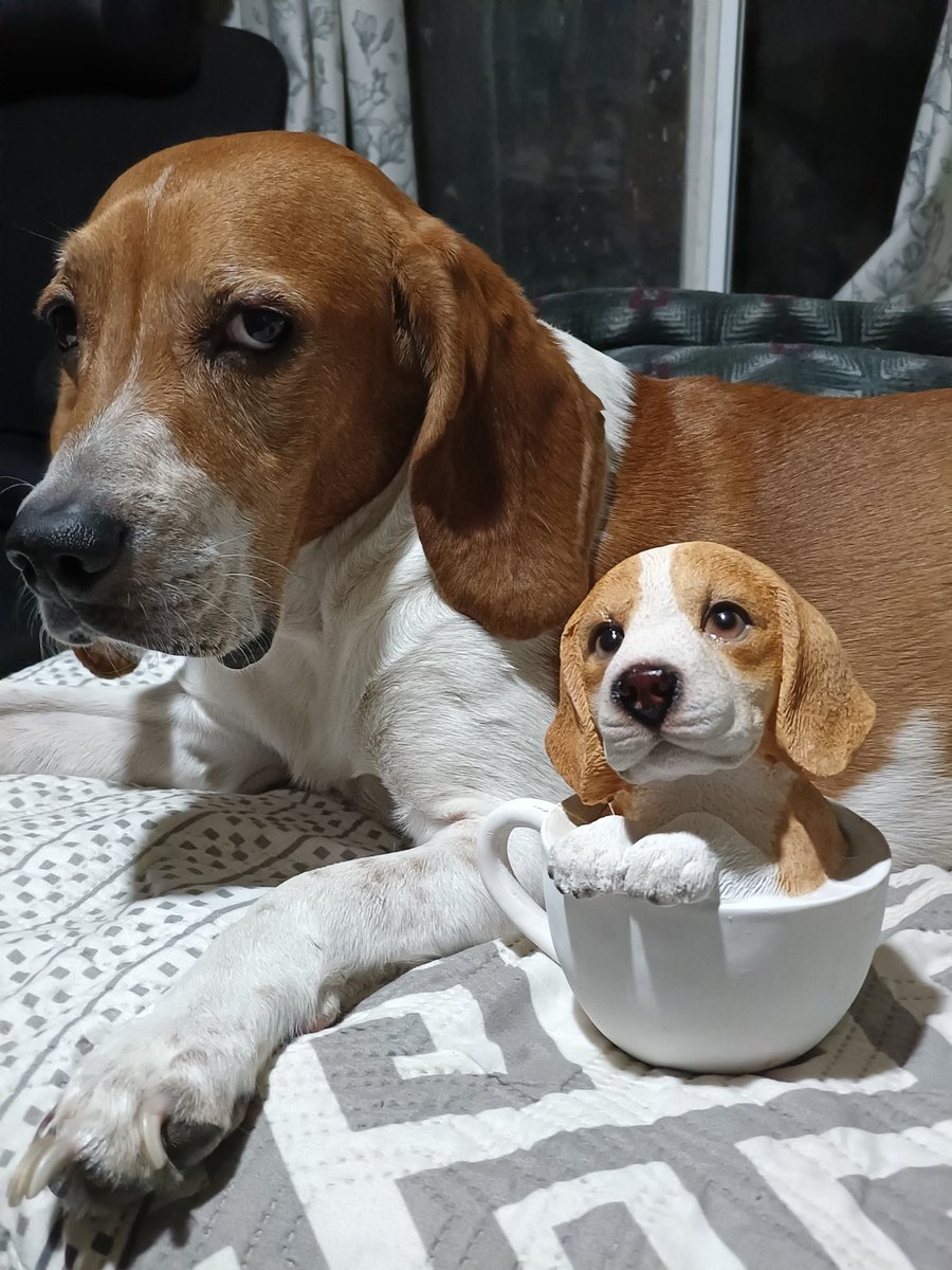 _andyOG's tweet image. 😍