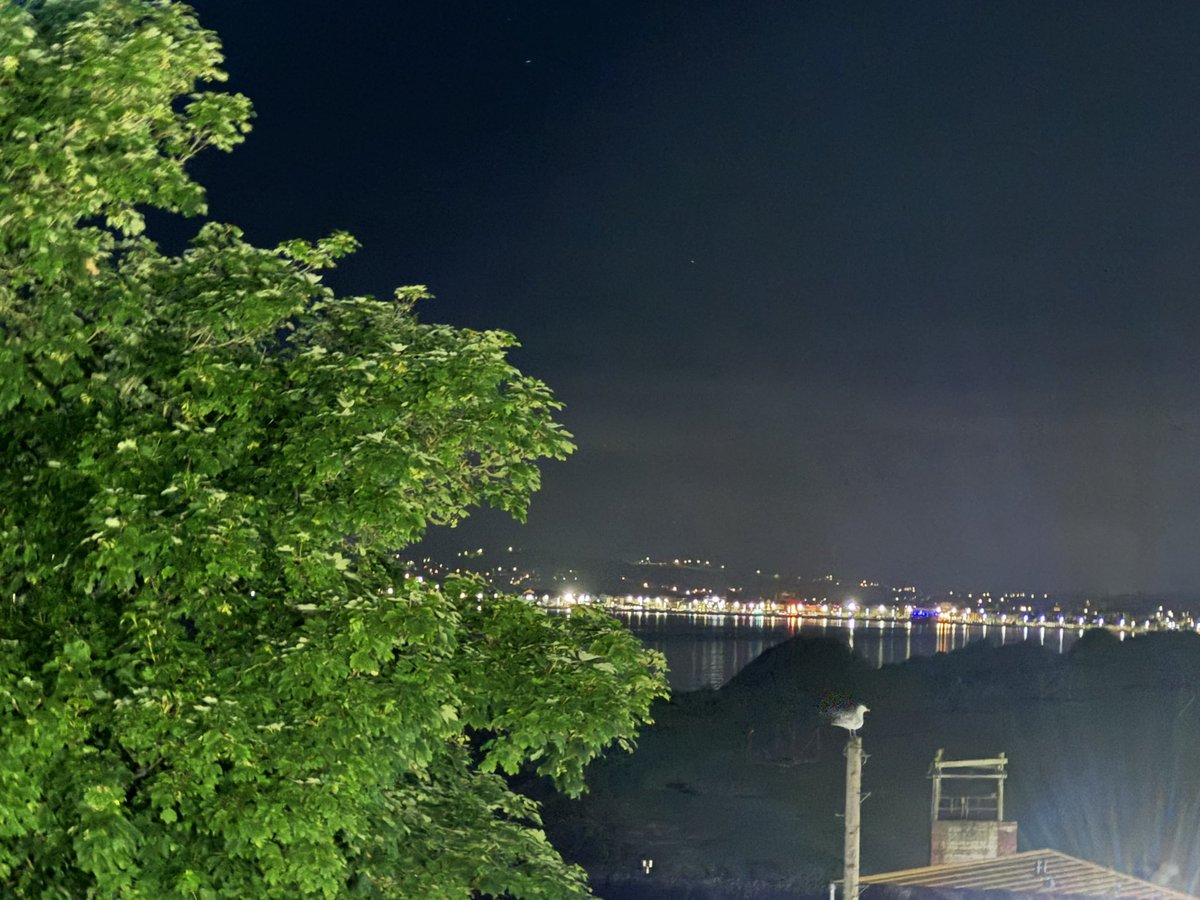 STMM20's tweet image. We all had a blast at our disco tonight. Dancing shoes were definitely evident throughout! Now safely tucked up in bed for the final time on a clear warm night here at Osmington Bay… 2 more activities to go before we head home.
#DancingShoes
#TuckedUpForTheNight
#FinalDay