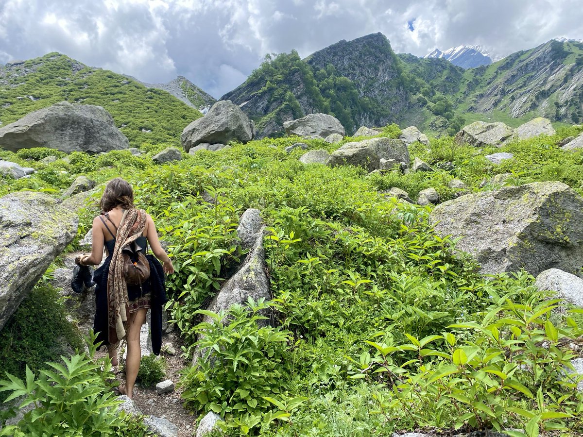 Wanderings through the Indian Himalayas ♥️