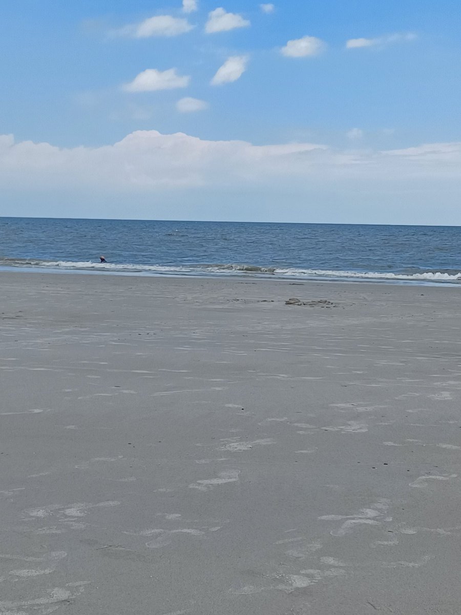 DagerSteven's tweet photo. Nothing better than having a few frosty ones this afternoon while at a not crowded beach and listening to Hammy and Rosie on the call for The Guardians Sweeeeeeep ! #IslandersParkBeach #NotCrowded #GuardsSweep Woooooooooooo ! https://t.co/kPyjlPrBNR