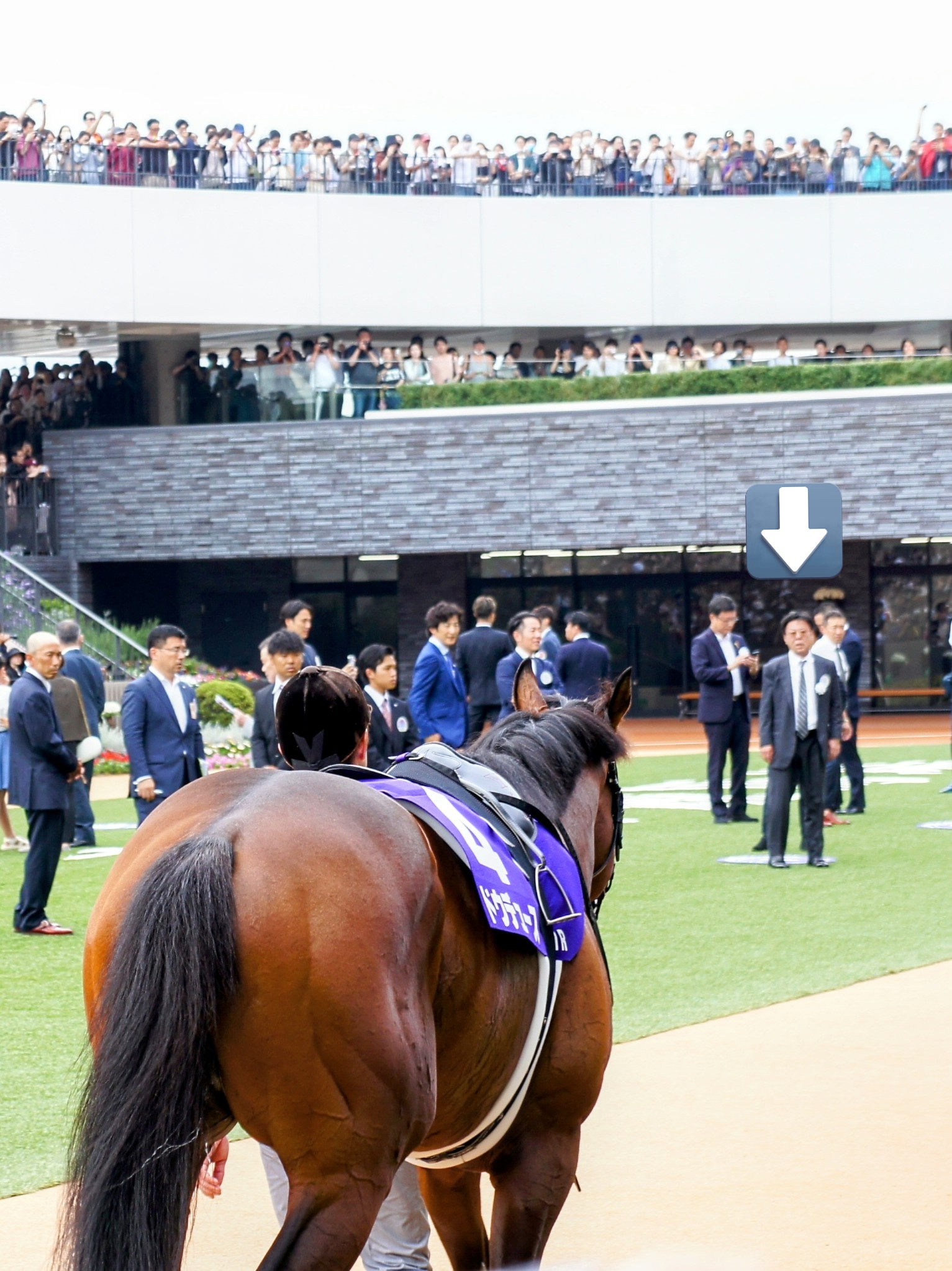 98 (@odoumogumogu) / X