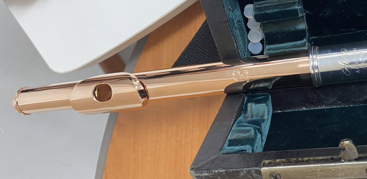 그동안 플루트 앙상블 지휘해 주셨던 선생님이 우리랑 같은 단장겸 단원으로 합류하게 되고 7월부터 지휘자샘을 다른 분으로 모시게 되었다.