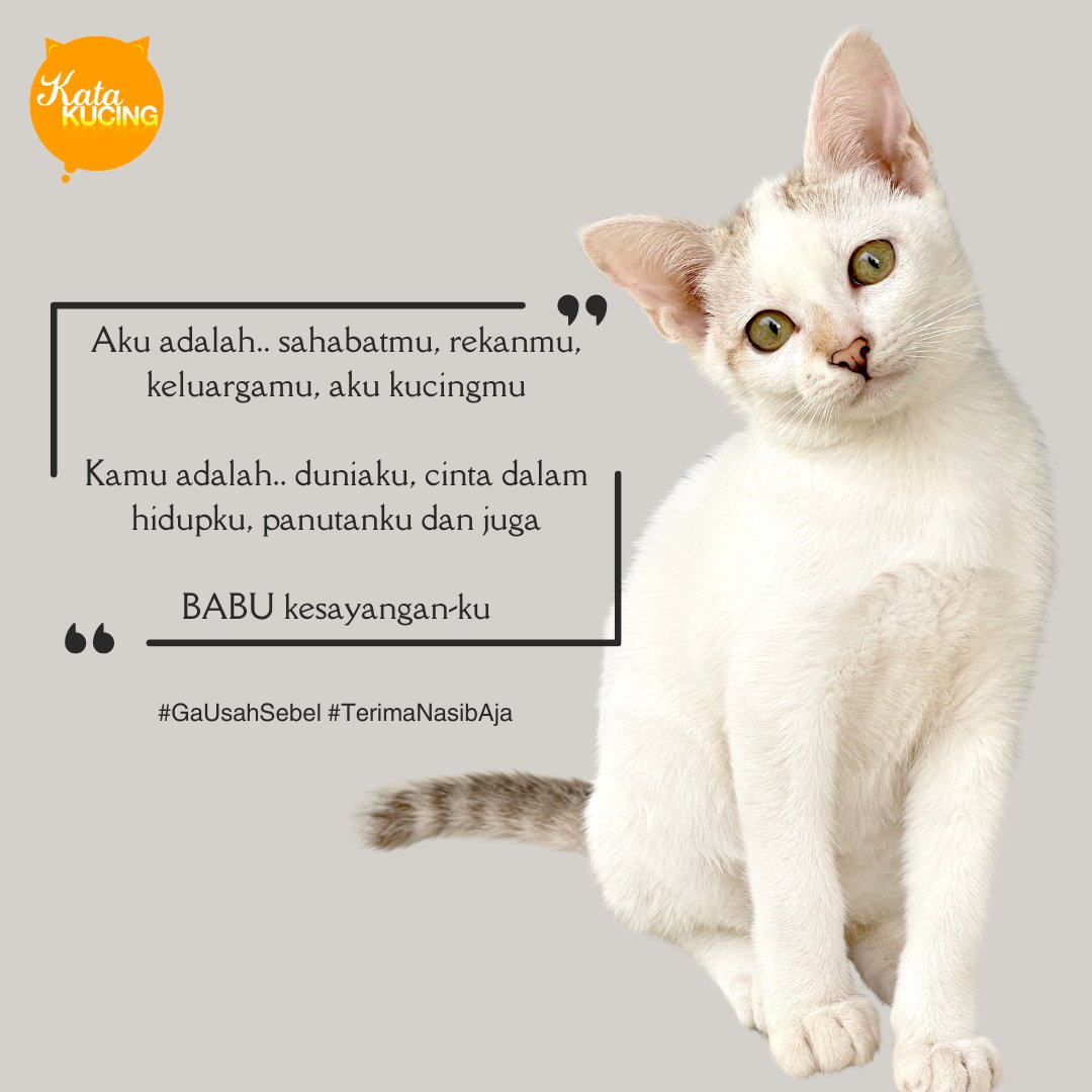 Babuuuuu.. Please make some noise 🤣🤣