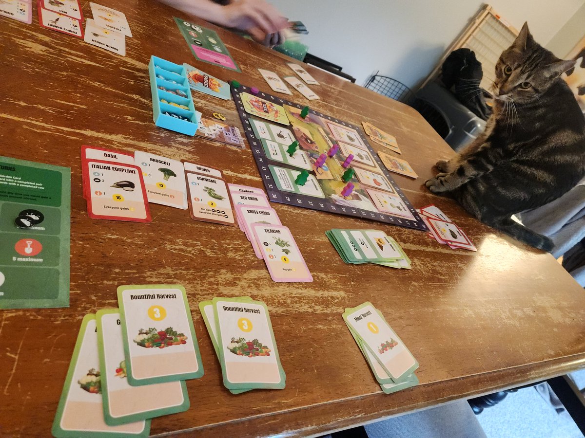 🌱🗺️ Emmap🧭🪴 tweet media