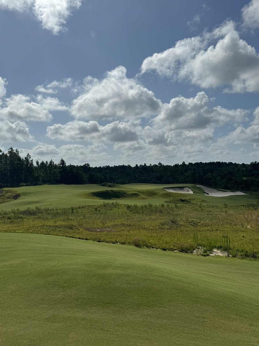 Gary Williams tweet media