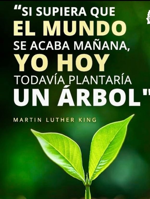 MOCEV #23Jun  🇻🇪 "Si supiera que el mundo se acaba mañana, yo hoy todavía plantaría un árbol" Martin Luther King

@nicolasmaduro
<a href="/delcyrodriguezv/">Delcy Rodríguez</a>
<a href="/maduroguerra/">maduroguerra</a>
<a href="/dcabellor/">Diosdado Cabello R</a>
@asamblea_ven
@mippcivzla
<a href="/mocevnacional/">Mocev Nacional</a>
<a href="/partidoverdeven/">partidoverdeven</a>
@heryckrangel

#ElQueVaEsNicolás
#MocevReverdece💚