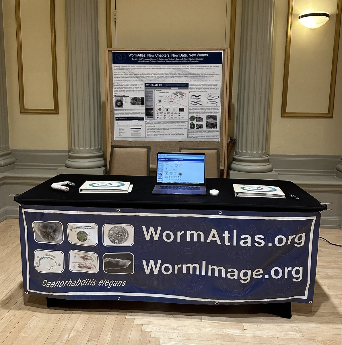 WormAtlas is excited to be at #ceneuro2024!! Come check out our booth at the poster sessions!