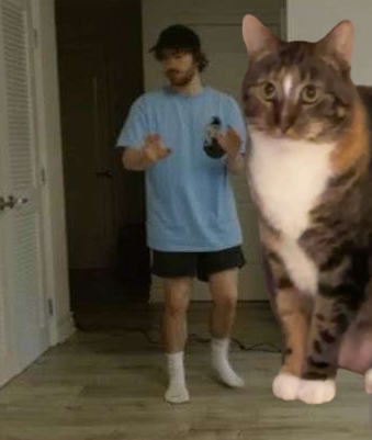 Patches_Daily's tweet image. biblically accurate patchnap height check