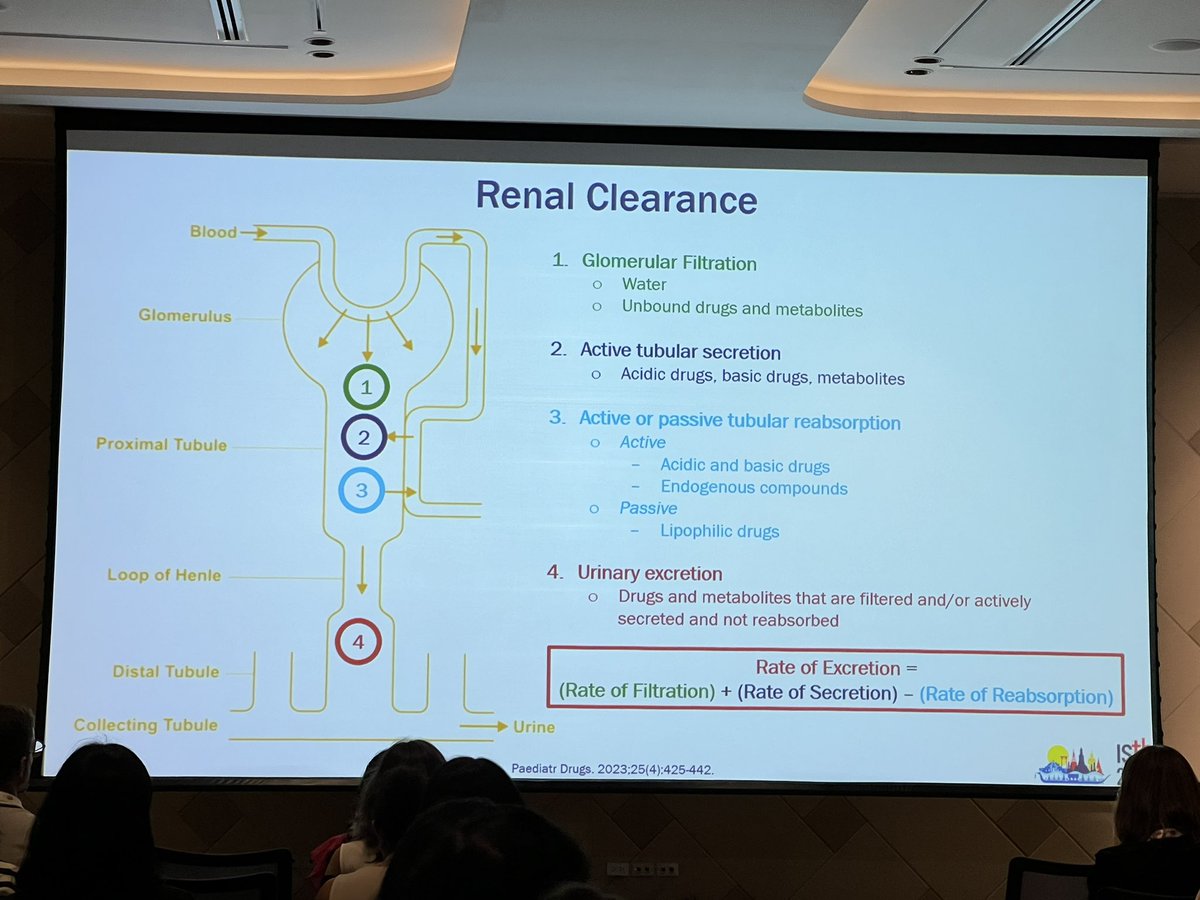 PedsHemeDoc's tweet photo. Just as hematologists like to mess with folks with clotting pathways, a sure fire way to scare a non-nephrologist is to throw up a slide of kidney processes 🤣🫘 #RespectTheBeans #ISTH2024 https://t.co/bclOjVriPY