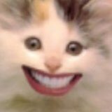 starlight.☆.꧂

HELLO PEEPS. I have RETURNED