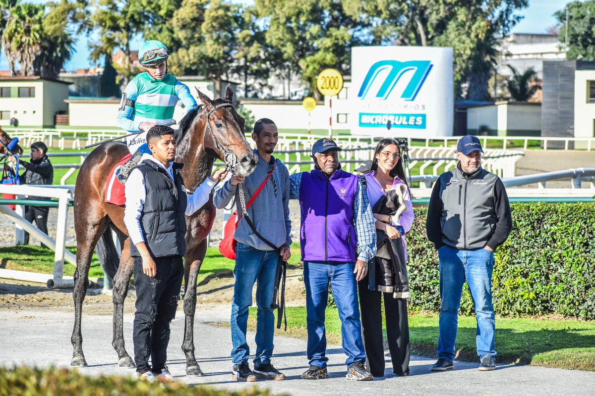 José da silva (@jose57513547) on Twitter photo 