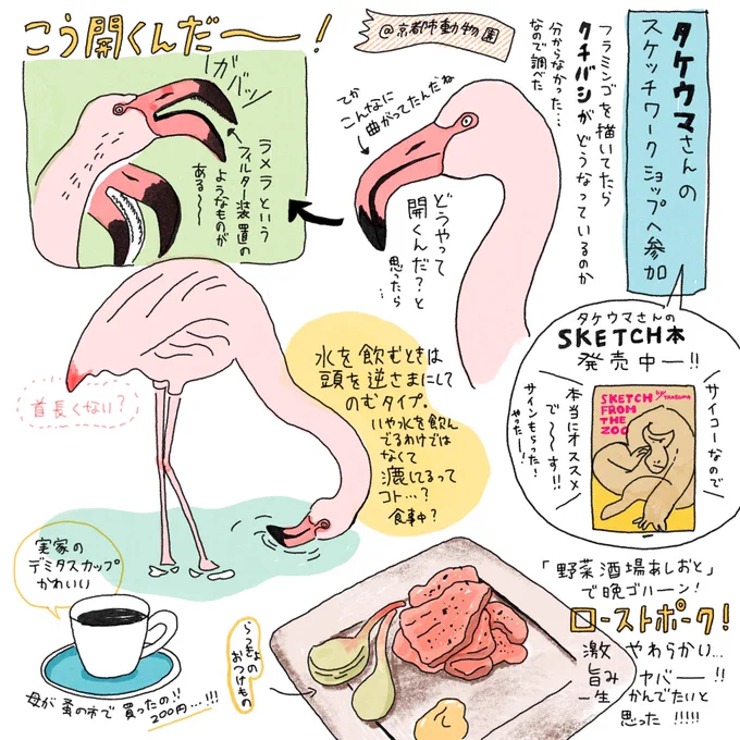 日々メモメモ
動物園スケッチ楽しかったなあ。

#イラストエッセイ 