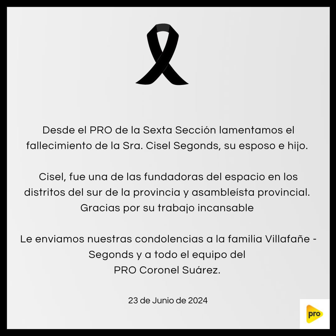 Alex Campbell tweet media