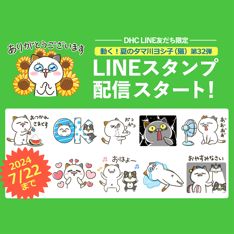 当選品 DHC タマ川ヨシ子 エプロン 非売品 2025年最新】タマ川ヨシ子の人気アイテム - メルカリ