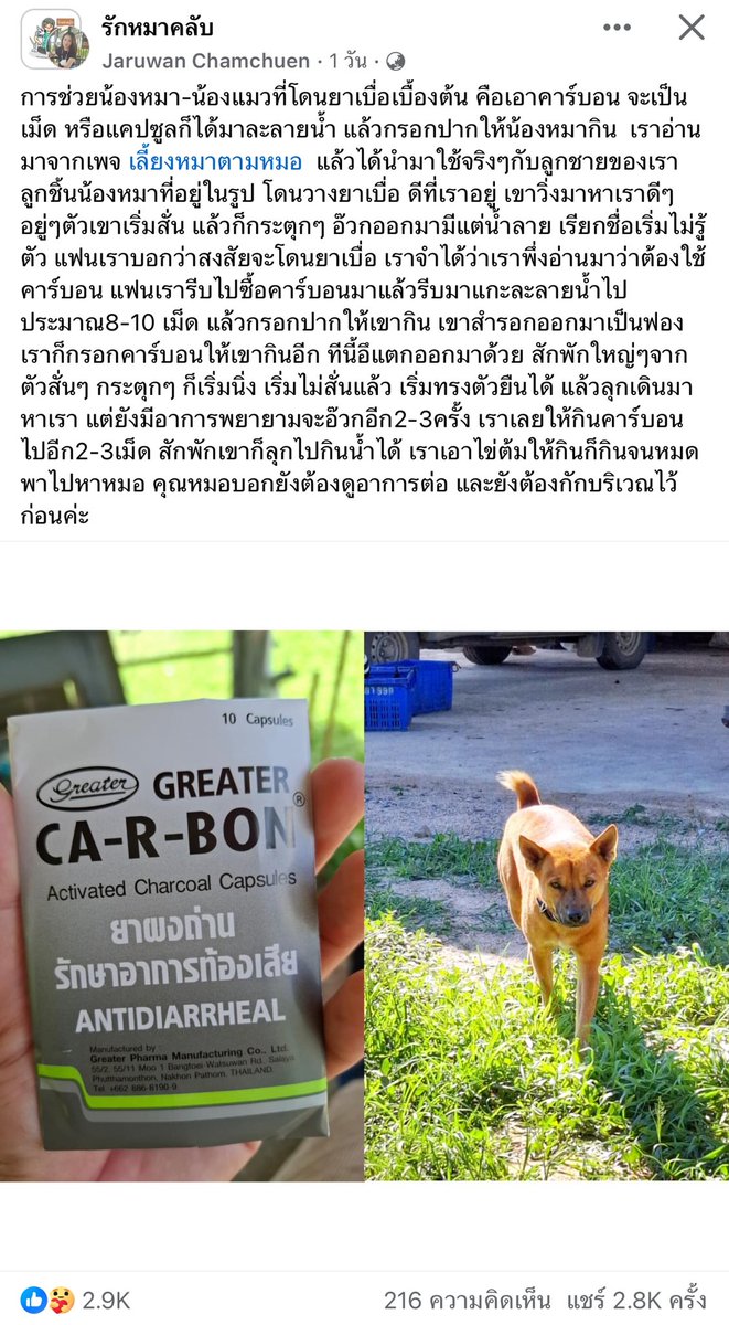 SaiJaii's tweet image. ความรู้ใหม่เลย ถ้าน้องหมาโดนยาเบื่อให้เอาผงคาร์บอนละลายน้ำแล้วกรอกปากน้อง จดๆ เดี๋ยวนี้คนใจร้ายเยอะ เราไม่รู้ว่าน้องเราจะโดนแบบนั้นเมื่อไหร่ ต้องเตรียมพร้อมไว้ก่อนฮะ