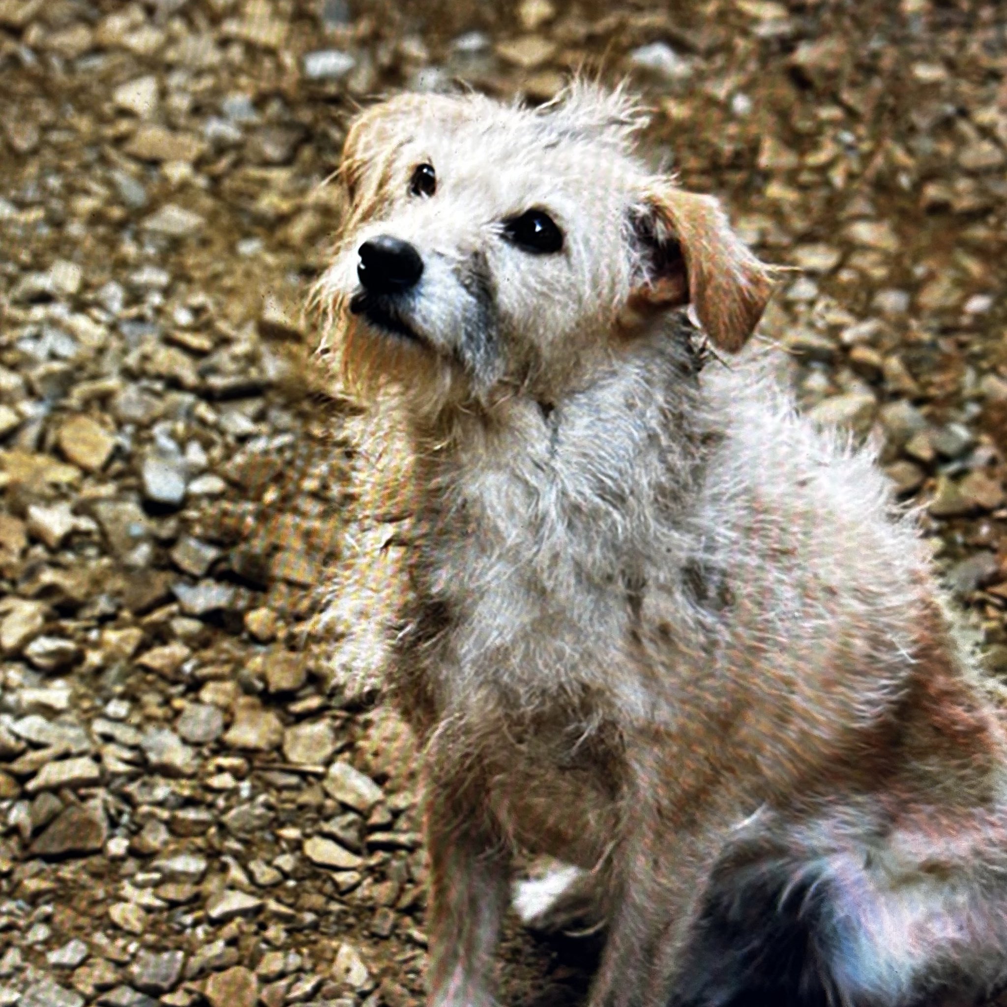 GQzaxtcWEAIJPXD.jpg:large