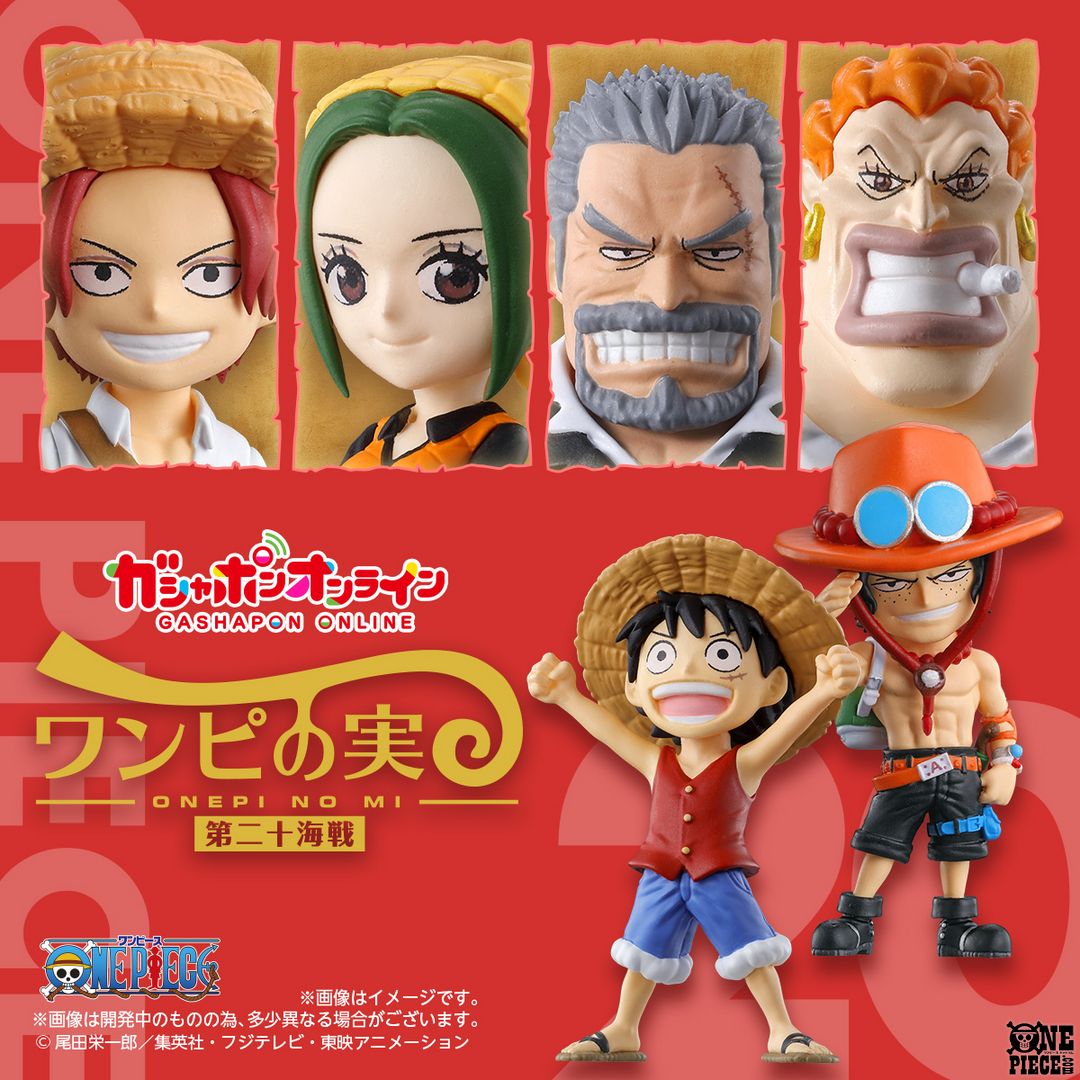 ワンピの実24点 ワンピの実24点 ワンピの実24点