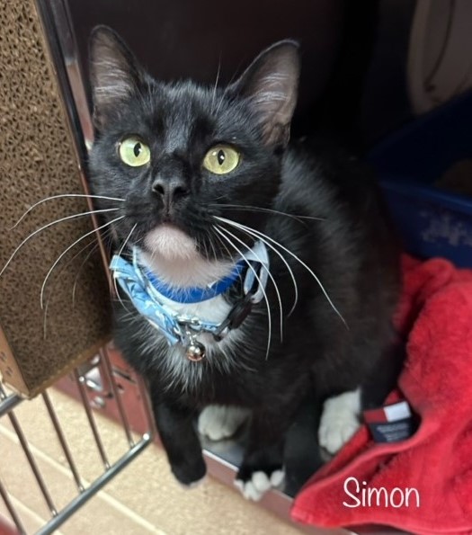 Renee' Martin tweet media