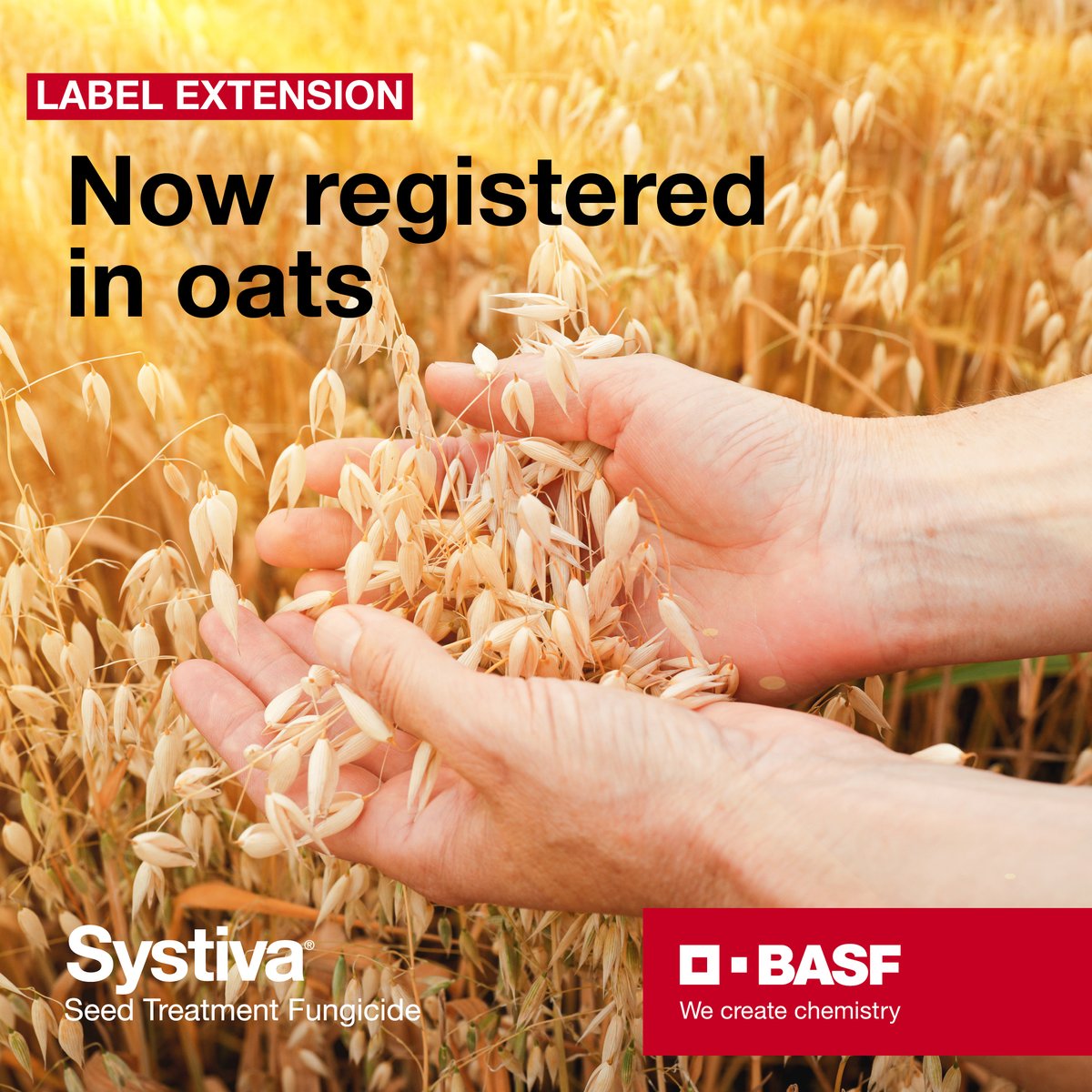 BASF Agricultural Solutions Australia tweet media