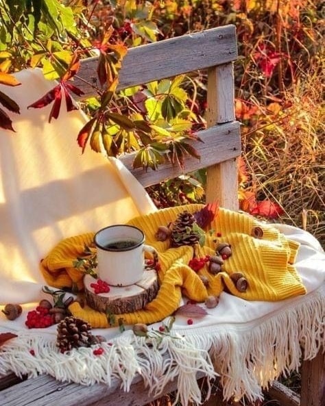 aras017993's tweet image. İyi niyetler, mutlu haberler, sevgi dolu yürekler
yaşamınızdan eksik olmasın....
Güzel bir hafta sonu olması dileğiyle..
Günaydın.☕️💜