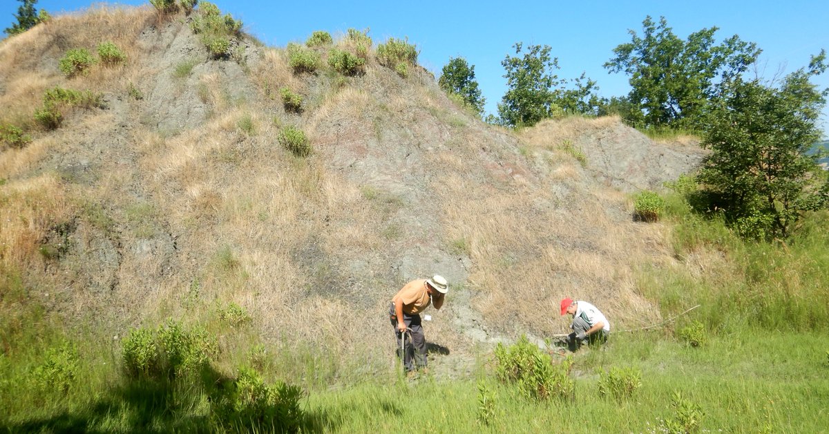 ABaucon's tweet photo. Exciting day on fieldwork with the brilliant team from the Natural History Museum of #Piacenza! We're diving deep into Earth's biological and environmental history through the lens of fascinating ichnofossils. Stay tuned for what we uncover! #Ichnology #FieldworkDiaries #🦕 https://t.co/xhe6wWtOw7