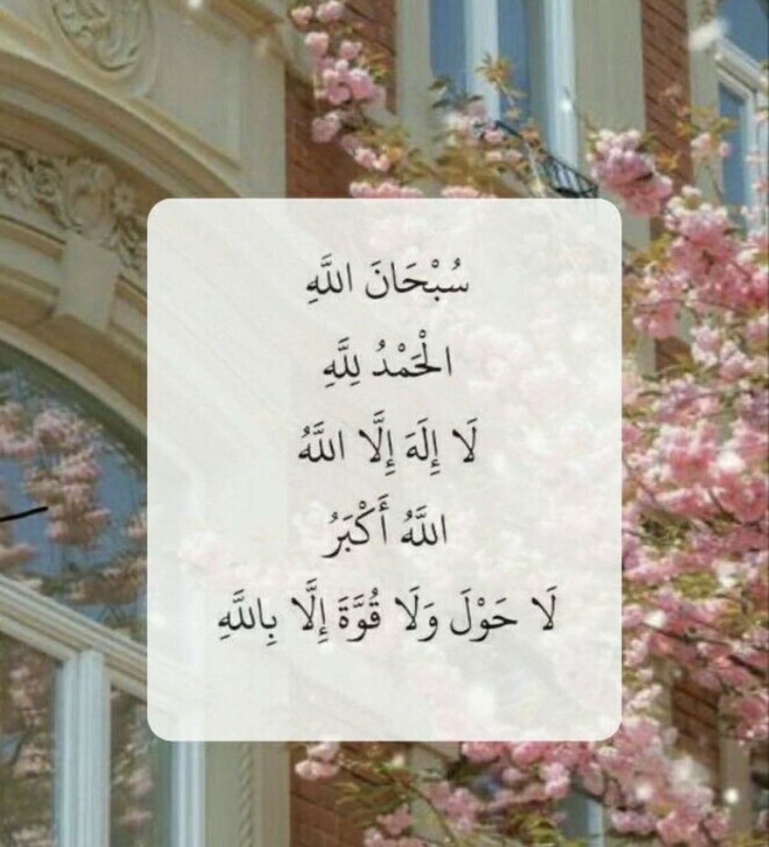 she_amal's tweet photo. https://t.co/iRPqMIhTfq