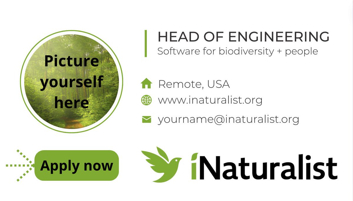inaturalist's tweet photo. We're looking for a Head of Engineering! This important role will be part of the Leadership Team and will be pivotal in shaping the future of iNaturalist.

Apply here using @beapplied: https://t.co/mFm3RBzdr0

#hiring #software #remote https://t.co/rZGZwNJ6q1