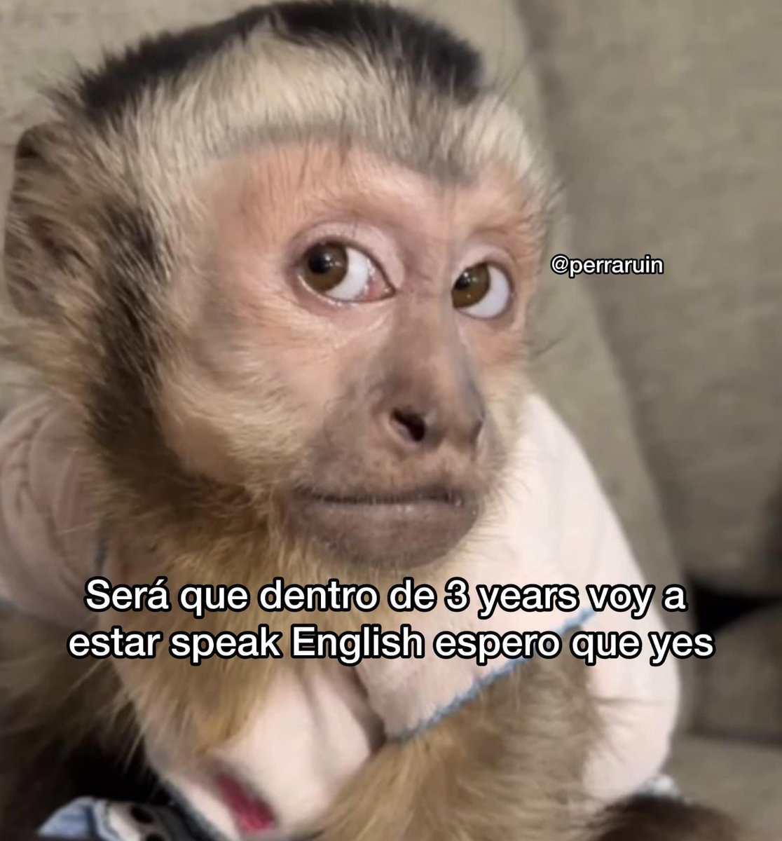 Espero que yes.
