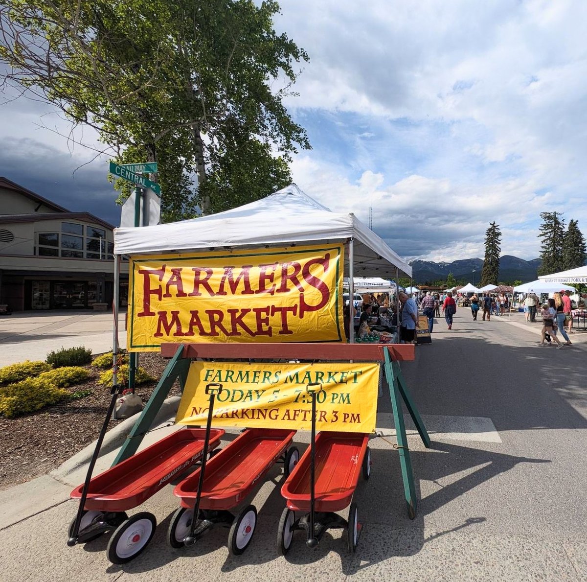 ILoveWhitefish's tweet photo. Every Tuesday, the heart of Whitefish, Montana, comes alive with the vibrant Whitefish Farmers Market. Join locals and visitors in celebrating the best local produce, handmade crafts, and live music.
@happybeartrail
#VisitWhitefish #Stumptown #VisitMontana #ExploreMT https://t.co/xZ5fV95xqo