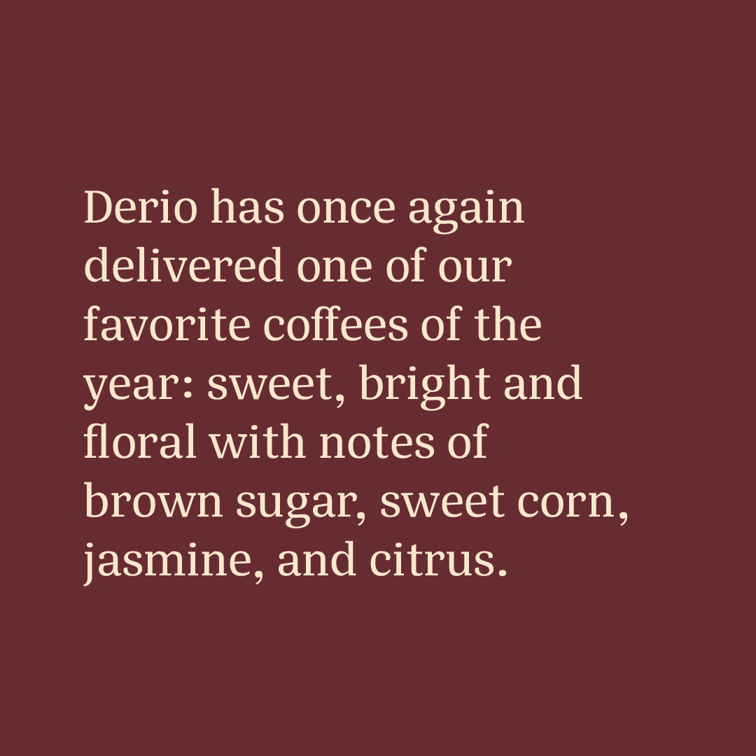 Casa Brasil Coffees tweet media