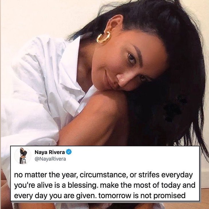 NayaRiveraArmy tweet media